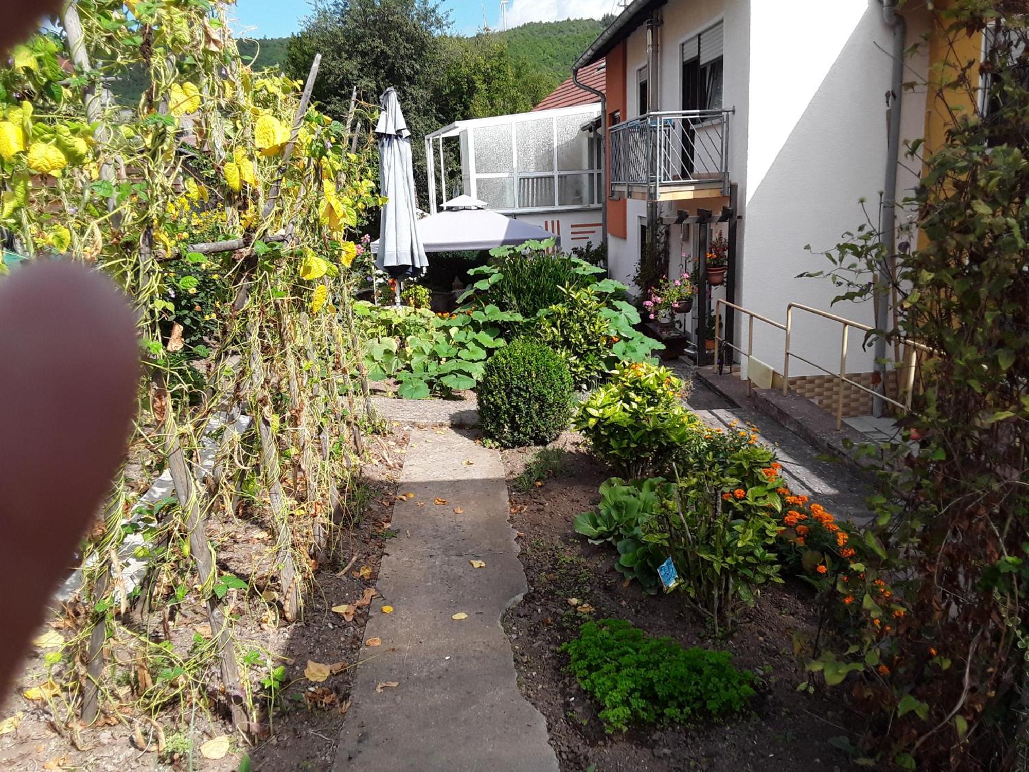 Haus Kallin Idar-Oberstein Bagian luar foto