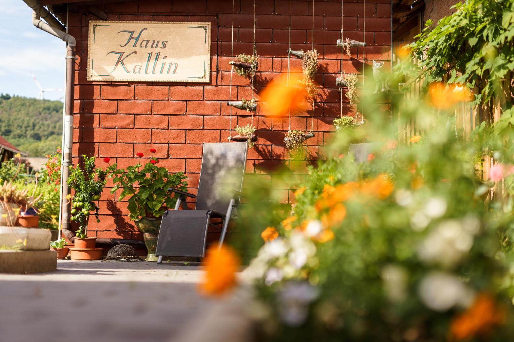 Haus Kallin Idar-Oberstein Bagian luar foto